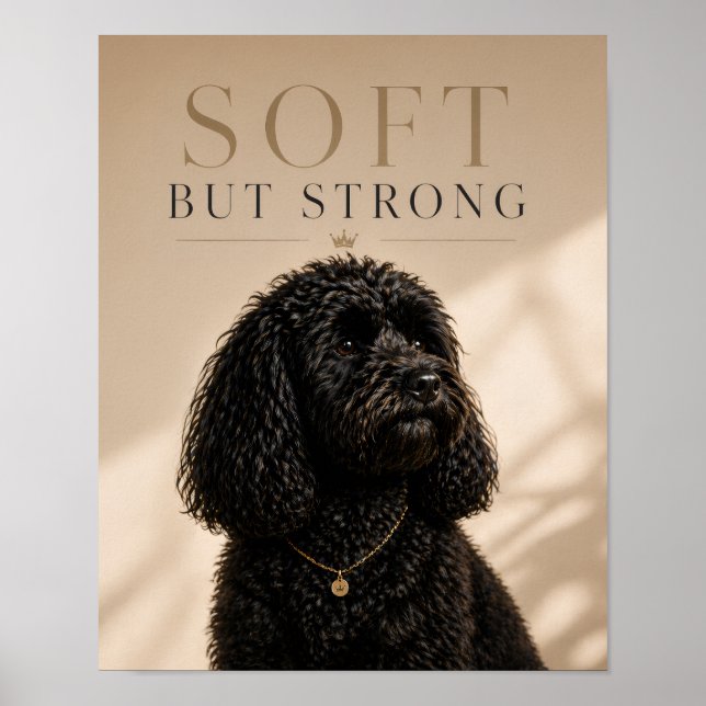 Impressão de Arte para Parede Cockapoo Macia Mas F (Frente)