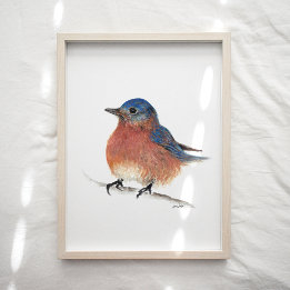 Impressão de Arte por Aquarelas de Bluebird