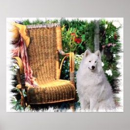 Impressão de Arte Samoyed