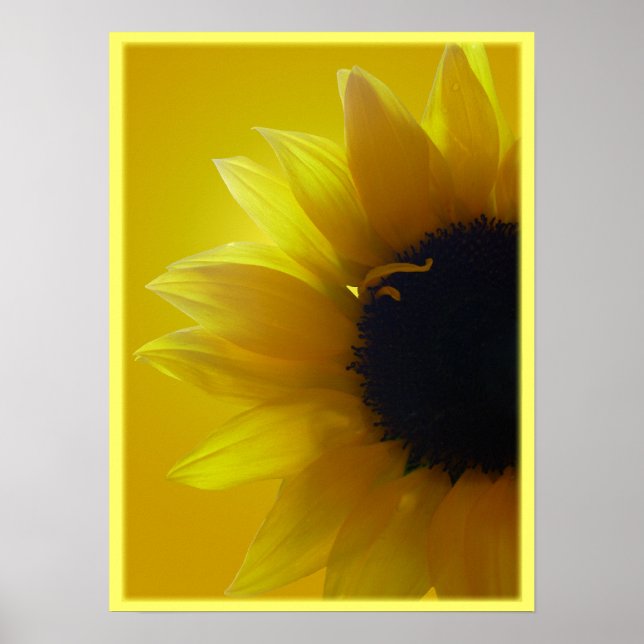Impressão de Arte Sunflower Bonita Impressão de Fl (Frente)