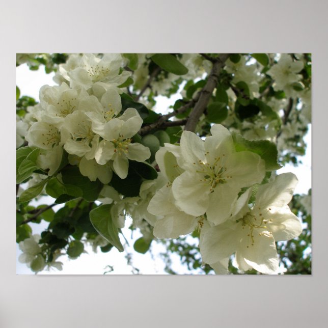 Impressão de Árvore de Maçã Bloqueada (Frente)