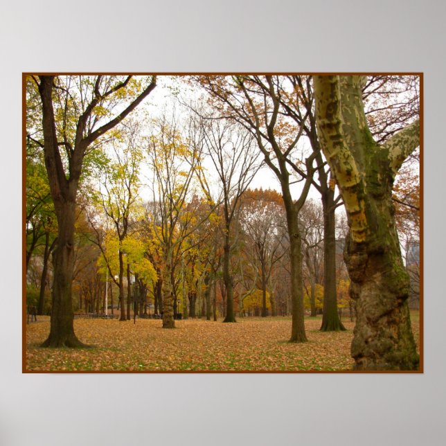 Impressão de Árvores de outono, Poster de Paisagem (Frente)