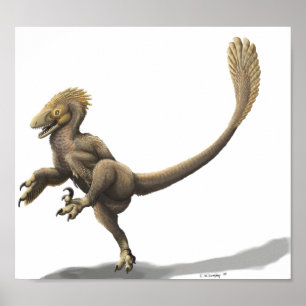 Impressão de Balaur Bondoc