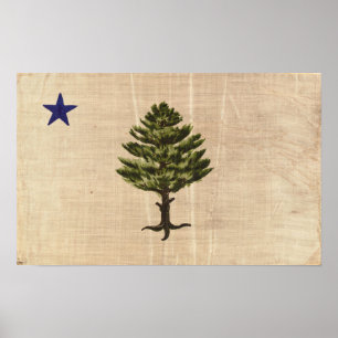 Impressão De Bandeira Do Vintage 1901 Maine (Cort