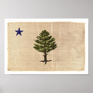 Impressão De Bandeira Do Vintage 1901 Maine (Pequ