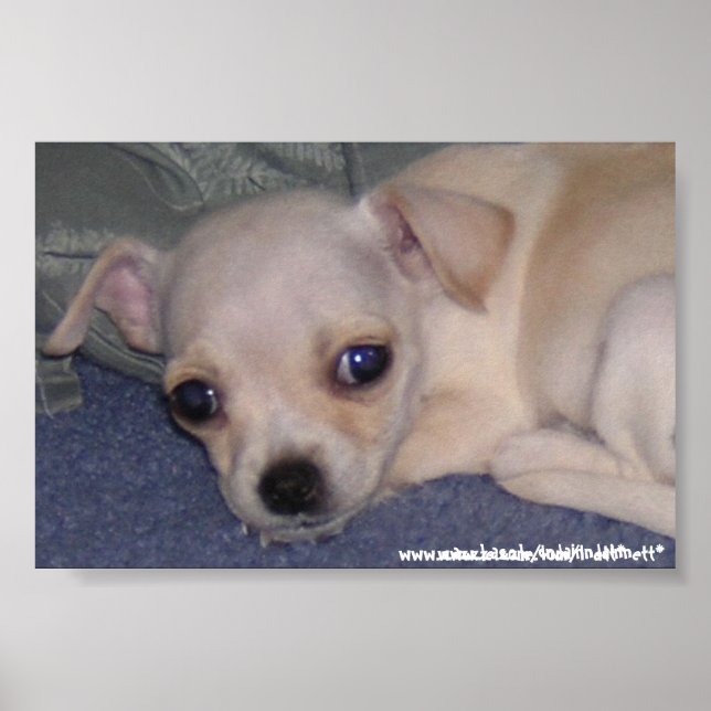 Impressão de bebê. (Frente)