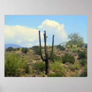 Impressão de beleza de supersão