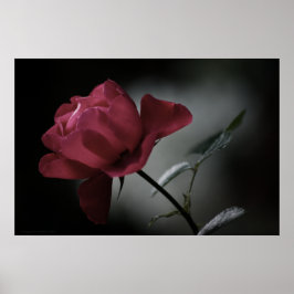 Impressão de beleza do amor