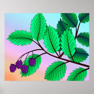 impressão de "Blackberry on a Branch" com frontei