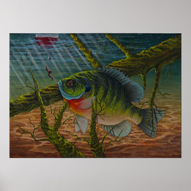 Impressão de Bluegill (Frente)