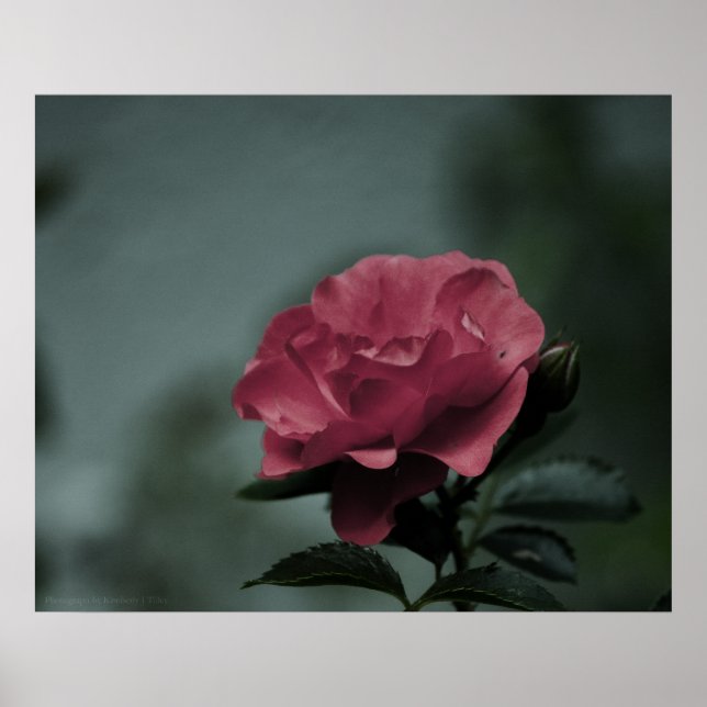 Impressão de Blush Real (Frente)