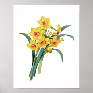 Impressão de Botânica de DAFFODILS original de Red