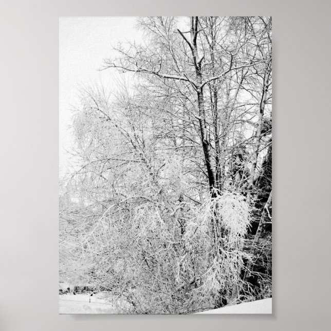 Impressão de Brancos de Inverno (Frente)