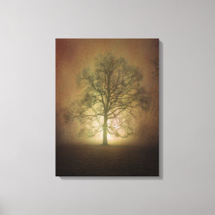 Impressão de brilho das canvas do carvalho