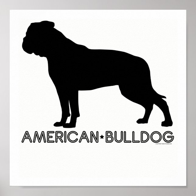 Impressão de Buldogue Americano (Frente)