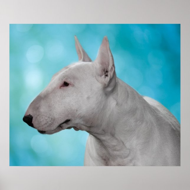 Impressão de Bull Terrier (Frente)
