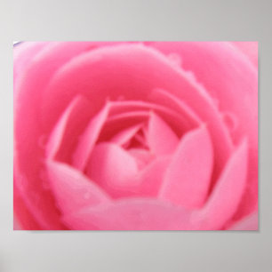 Impressão de Camellia rosa