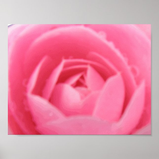 Impressão de Camellia rosa (Frente)