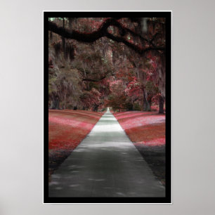 Impressão de caminho