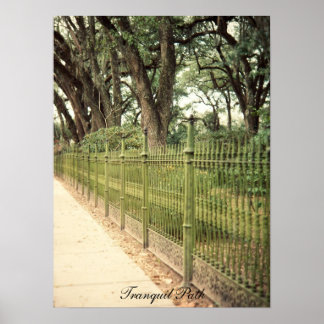 Impressão de Caminho Tranquilo