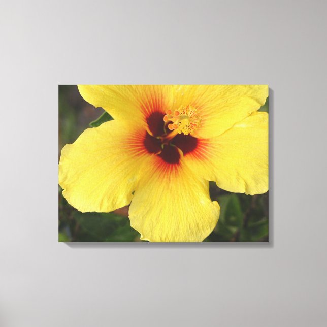 Impressão de Canvas de Flor Hibiscus Havaiano (Frente)