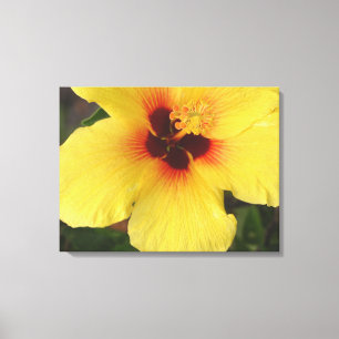 Impressão de Canvas de Flor Hibiscus Havaiano