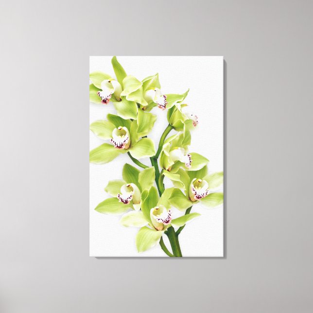 Impressão de Canvas de Flor Orquídeo do Cymbidium  (Frente)