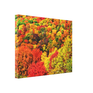 Impressão de Canvas de Folhagem de outono
