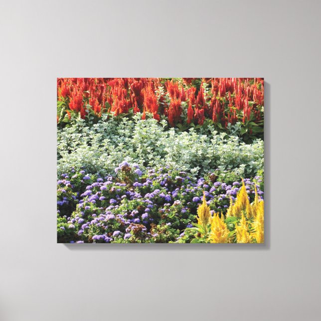 Impressão de Canvas de Fotografia de Plantas Color (Frente)