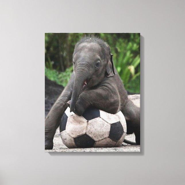 Impressão de Canvas de futebol de elefante (Frente)