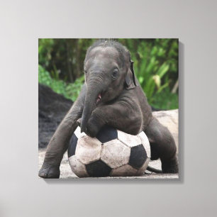 Impressão de Canvas de futebol de elefante