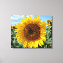 Impressão de Canvas de Girassol