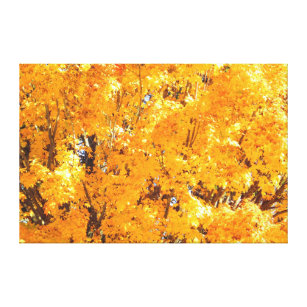 Impressão de Canvas de outono de ouro