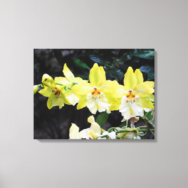 Impressão de Canvas de Trio Orquídeo (Frente)