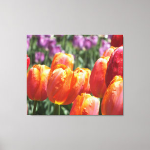 Impressão de Canvas de Tulipas Laranja