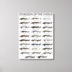 IMPRESSÃO DE CANVAS - ESTURGIÃO DO MUNDO
