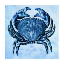 Impressão de caranguejo azul-costeiro de vintage