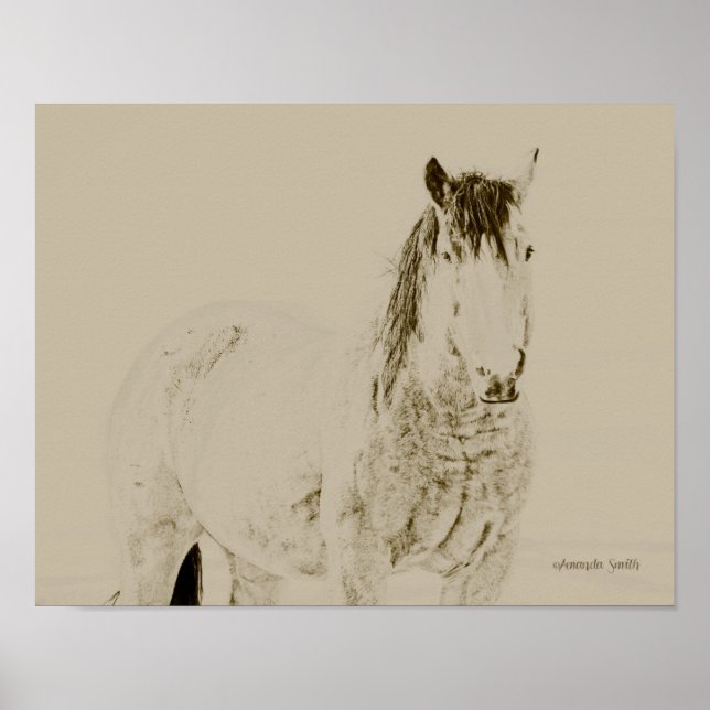 impressão de cavalo de arte ocidental, retrô, pres (Frente)