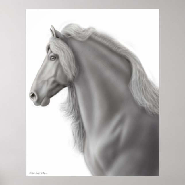 Impressão de Cavalo Frísia (Frente)