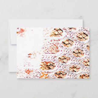 Impressão de Célula Laranja