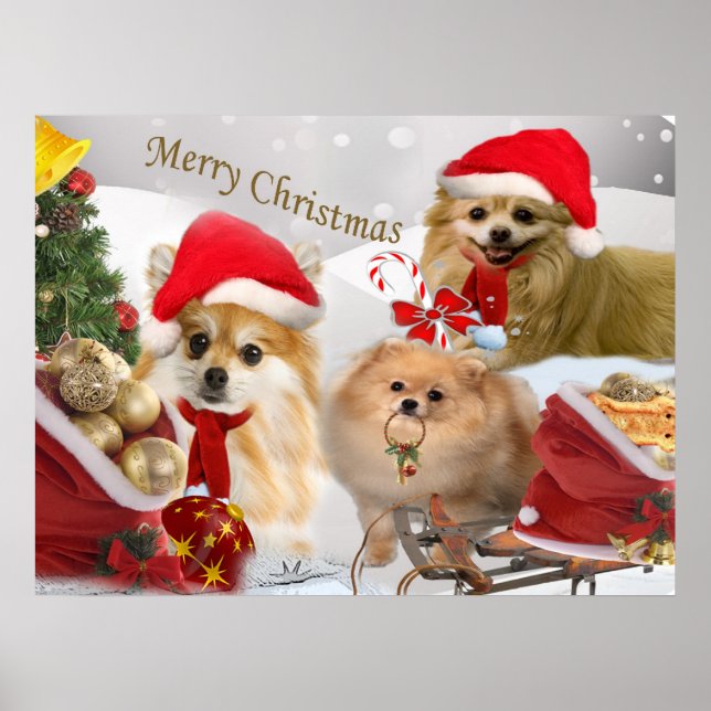 Impressão de cena de neve de Natal da Pomerânia (Frente)