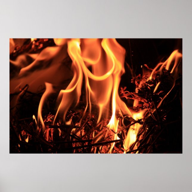 Impressão de chamas sedutoras (Frente)