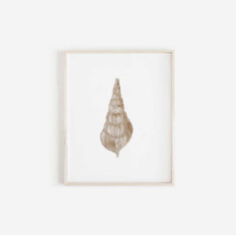 Impressão de cinta de água bege