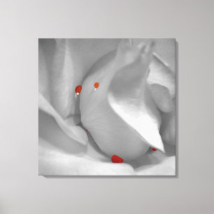 Impressão de Clona Aquarela Aeoliana