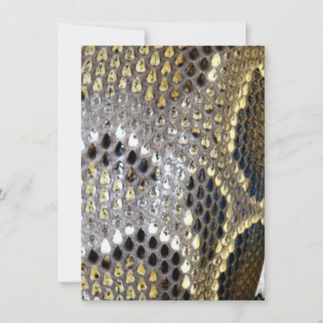 impressão de cobra cinza de modelo de animal preto (Frente)