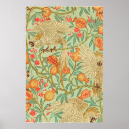 Impressão de Cockatoo e Pomegranato