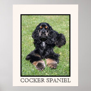 Impressão de cocker spaniel
