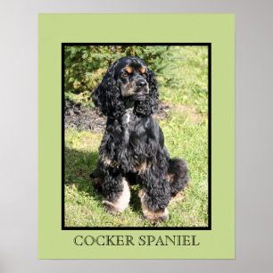 Impressão de cocker spaniel