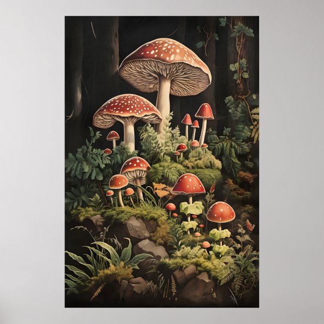 Impressão de Cogumelo Fly Agaric, Dark Academia (Frente)