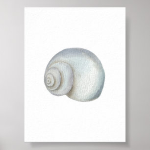Impressão de concha de Seashell